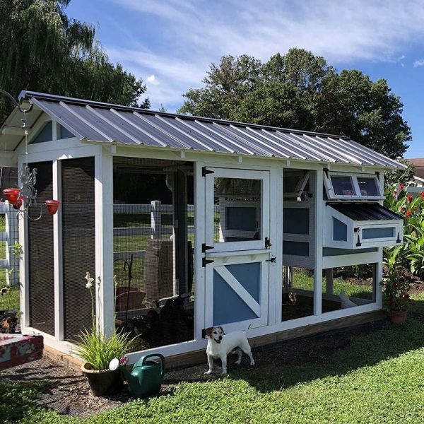 【Home&Garden】【BS】Outdoor Chicken Coop